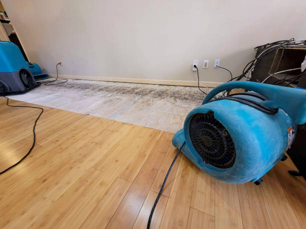 Professional Flood Damage Cleanup technician working in Baltimore, OH
